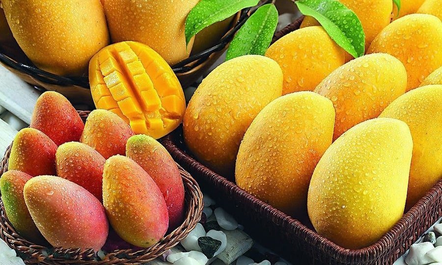 Mango